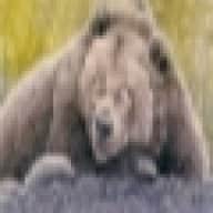 Baer