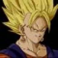 Vegetto13