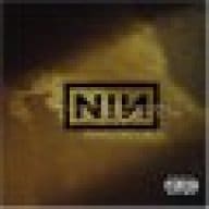 NiN