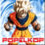 Popelkop