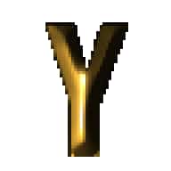 Mr. Y
