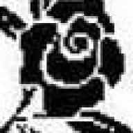 Black~roses