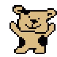 *Teddy*