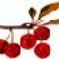 Kirsche