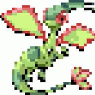 Libelldra_