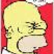 Waschbär