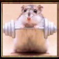 Cyberrat