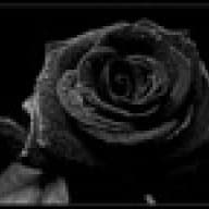 Black Rose