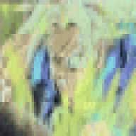 Trunks USSJ