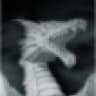 SilverDragon