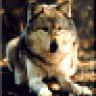 Cyberwolf
