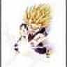 SSJ-Son-gohanZ