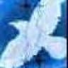 Blue_Fairy