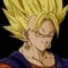 Vegetto13