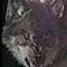 BlackWolf