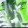 demonic Piccolo