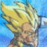 VEGETA Z