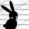 BlackBunny