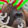 Apeman