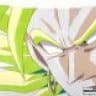 LeGenDarY_SSJ_BrOlY