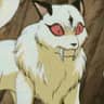 Duelist Yami 13