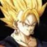 vegeto_2005