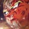 -Vegeta-