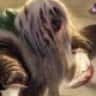 Drizzt Do´Urden