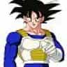 Majin Kakarot