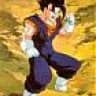 Vegetto 4 Ever