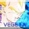 SuperSayajin14