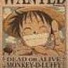 Ruffy Daimyo Monky