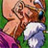 Master Roshi