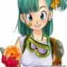 ~Bulma Briefs~