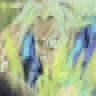 Trunks USSJ