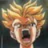 Fanatic Trunks