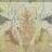 Son Gotan SSJ4