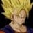 Vegetto13
