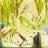 Vegeta Mega SSJ