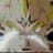 Super_Majin_Vegeta