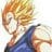 Vegeta 23
