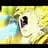 ww-.-.-Songoku-.-.-ww