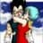bulma93